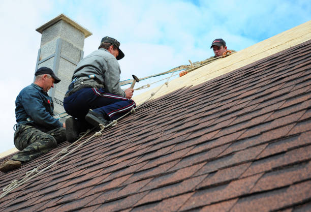 Best Gutter Installation and Roofing  in Suncrest, WA